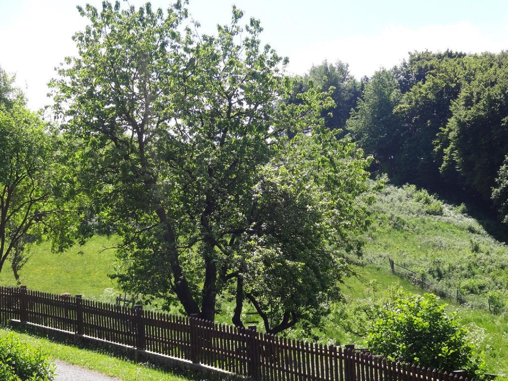 Lauras Landhauspension Medebach Exterior photo